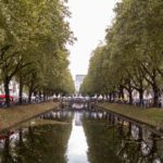 DIE EVENTS 2026 AUF DER KÖNIGSALLEE