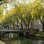 HERBSTLICHE STIMMUNG AUF DER KÖNIGSALLEE