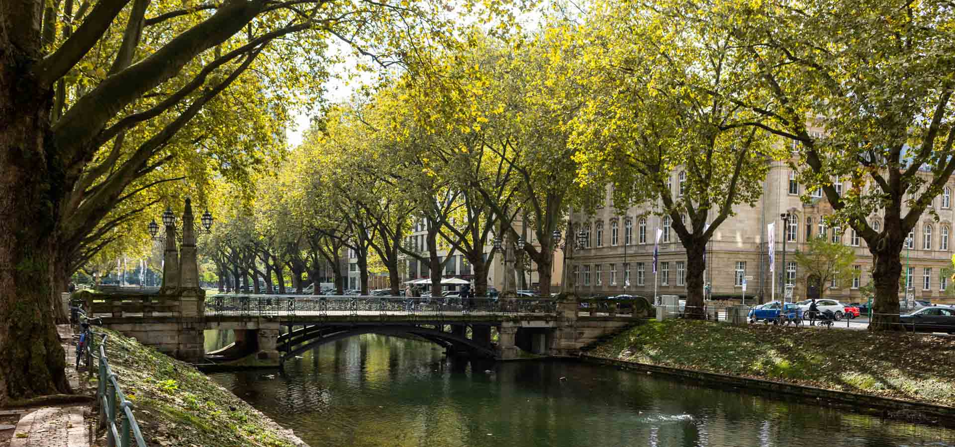 Herbst auf der Königsallee